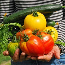 4�w�����]�a(ch��n)Ʒ